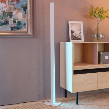 Eglo - LED RGBW himmennettävä lattiavalaisin LED/10,5W/230V + LED/15,2W harmaa