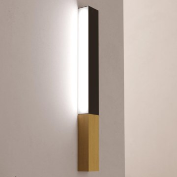 Eglo - LED-seinävalaisin LED/12W/230V