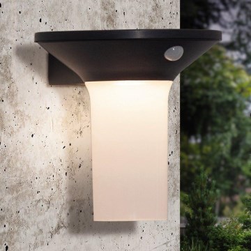 Eglo - LED-ulkoaurinkovalaisin anturilla 6xLED/0,03W/3,7V IP44