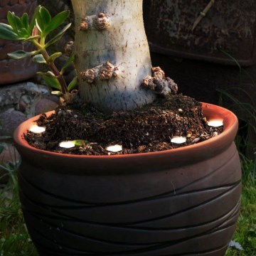 Eglo - LED ulkokäyttöön koristeellinen ketju SPINETOLI 6xLED IP65