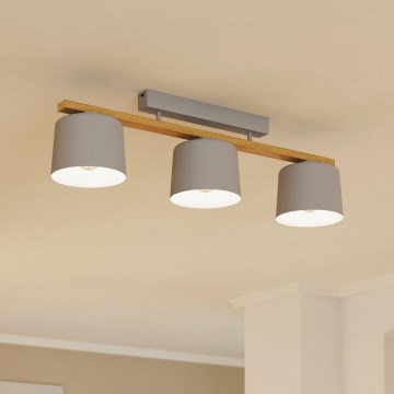 Eglo - Pinta-asennettava kattokruunu 3xE27/40W/230V