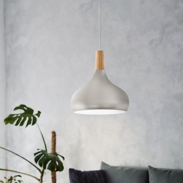 Eglo - riippuvalaisin johdolla 1xE27/60W/230V halkaisija 28 cm hopeanvärinen