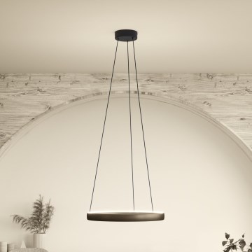 Eglo Stars of Light - LED-himmennettävä riippuvalaisin kaapelilla, liiketunnistimella, 2 x LED, 25 W, 230 V, 2200–6500 K, halkaisija 80 cm, ruskea