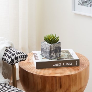 Eglo - Tekokasvi ruukussa 12x7,5 cm mehikasvi