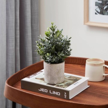 Eglo - Tekokasvi ruukussa 22x16 cm