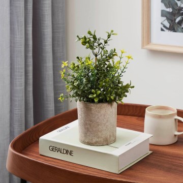 Eglo - Tekokasvi ruukussa 25x15 cm