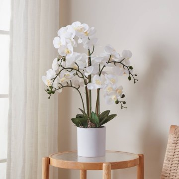 Eglo - Tekokasvi ruukussa 65x50 cm orkidea