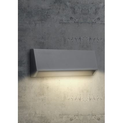 EMITHOR 48330 - LED-ulkoseinävalaisin RADIX LED/2,9W/230V IP65