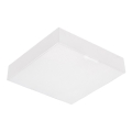 Emithor 63215 - LED-kattovalaisin SURFACE LED/10W/230V