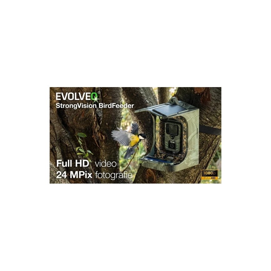 Evolveo - StrongVision BirdFeeder - älykäs lintujen ruokintalaite kameralla ja aurinkopaneeleilla