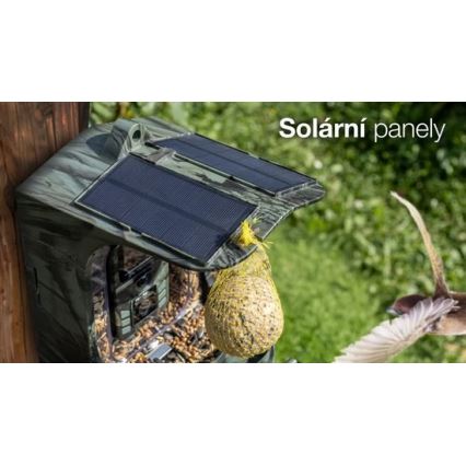 Evolveo - StrongVision BirdFeeder - älykäs lintujen ruokintalaite kameralla ja aurinkopaneeleilla