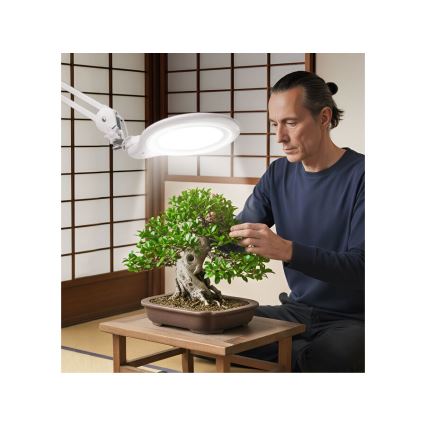 Extol - Himmennettävä LED-pöytävalaisin suurennuslasilla LED/10W/230V valkoinen