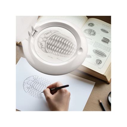 Extol - Himmennettävä LED-pöytävalaisin suurennuslasilla LED/10W/230V valkoinen