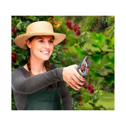 Extol Premium - Puutarhasakset 180 mm