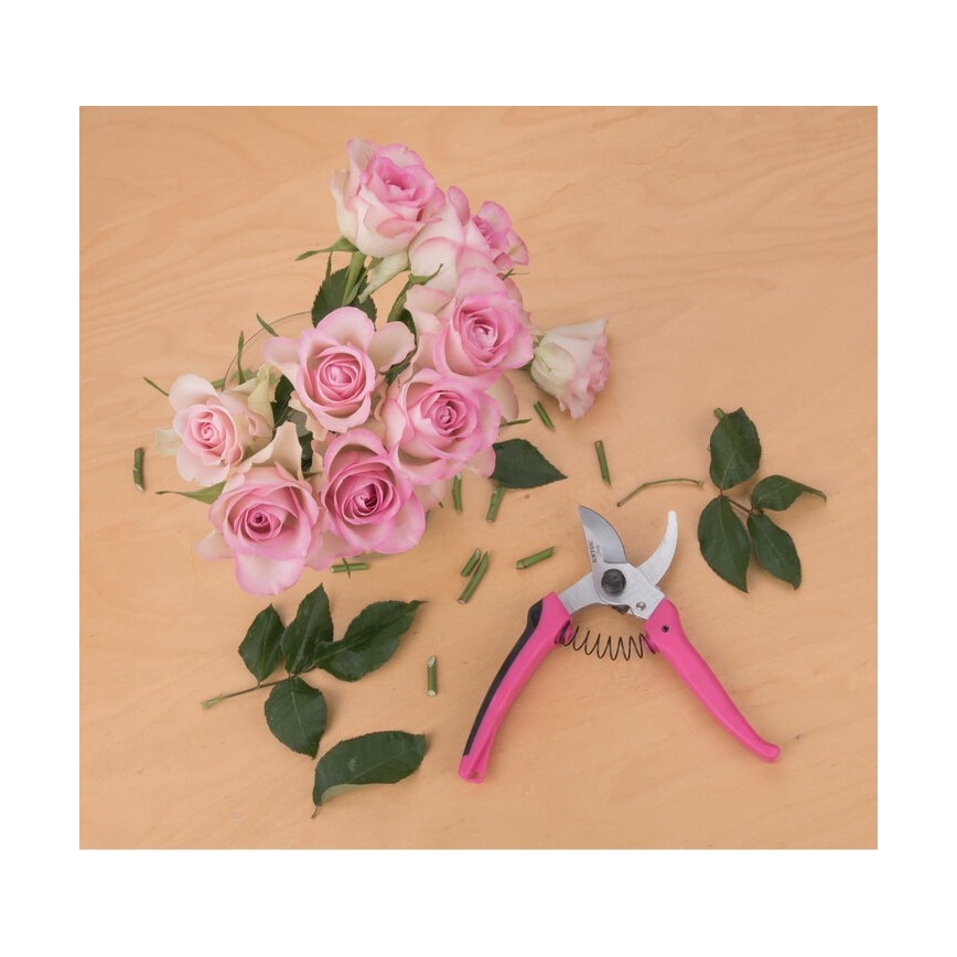 Extol - Puutarhasakset kukille 180 mm