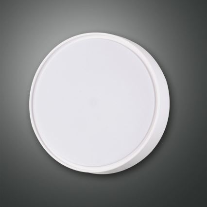 Fabas 3229/61/102 - Työvalo HATTON 1xE27/42W/230V IP65