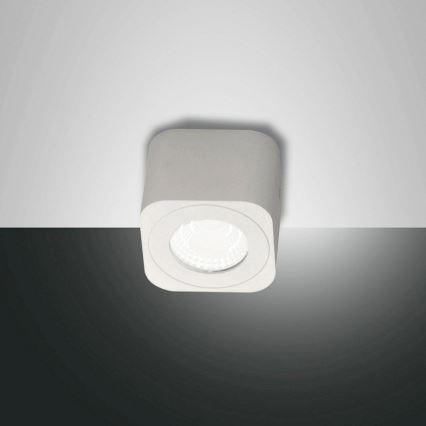 Fabas 3429-71-102 - LED-kohdevalaisin PALMI LED/6W/230V