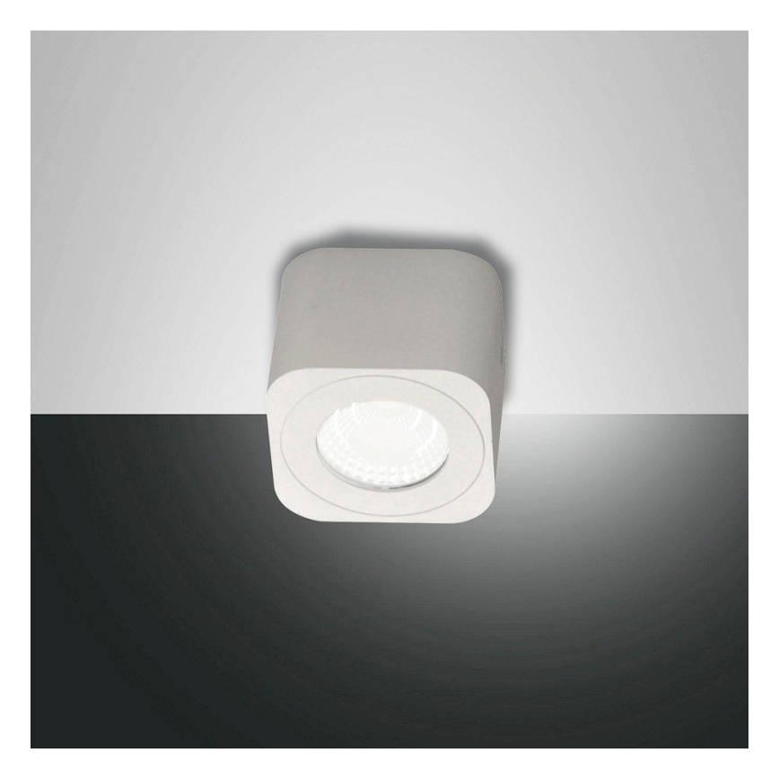 Fabas 3429-71-102 - LED-kohdevalaisin PALMI LED/6W/230V