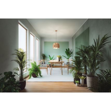 Fabas Luce 3672-40-132 - Kattokruunu johdossa PEVERO 1xE27/40W/230V puu