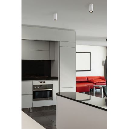 FARO 64190 - Kohdevalo NAN 1xGU10/50W/230V