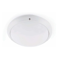 FARO 70722 - Ulkokattovalo DAKRON 1xE27/40W/230V IP65