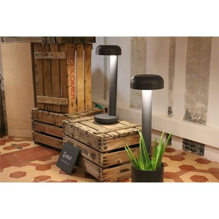 FARO 71206 - LED-ulkovalaisin GROW LED/9W/230V IP65