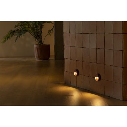 FARO 71962 - DUNE LED-portaiden valaisin LED/3W/230V 2200/2700/3200/4000K IP65 ruskea pyöreä
