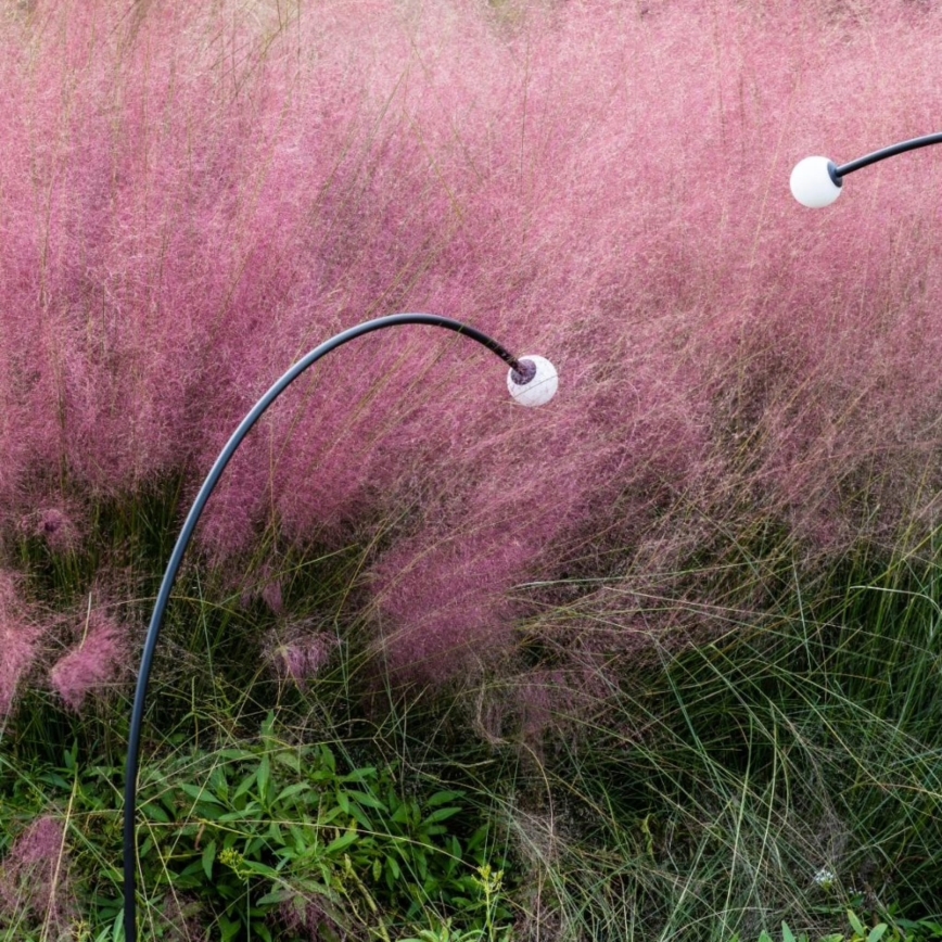 FARO 75562 - LED-ulkolamppu CUCA LED/3W/24V 119,3 cm IP65 antrasiitti