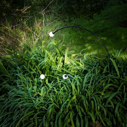 FARO 75562 - LED-ulkolamppu CUCA LED/3W/24V 119,3 cm IP65 antrasiitti