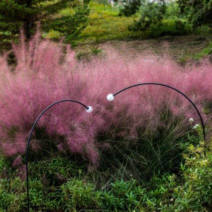 FARO 75562 - LED-ulkolamppu CUCA LED/3W/24V 119,3 cm IP65 antrasiitti