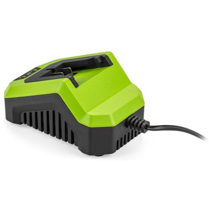 Fieldmann - Pikalatausasema 230V