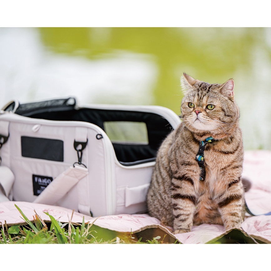 Fikago - Matkalaukku koirille ja kissoille TRUFFLE Grey