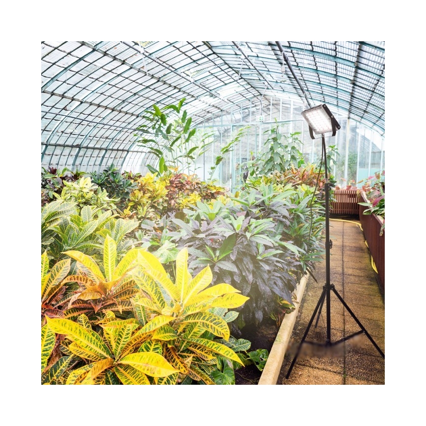 LED-kasvivalaisin jalustalla FIRON LED/45W/230V IP54 musta