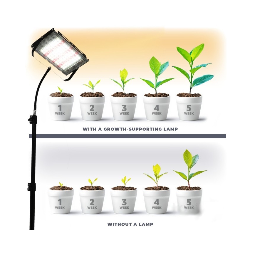 LED-kasvivalaisin jalustalla FIRON LED/45W/230V IP54 musta