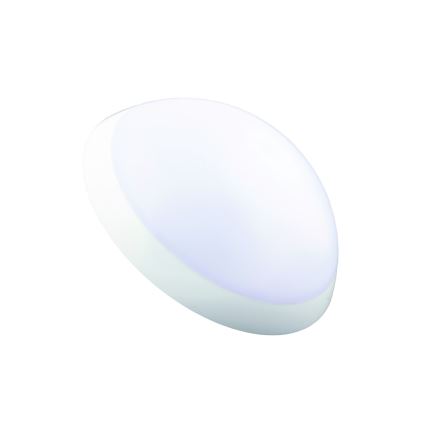 Fulgur 20994 - Kylpyhuoneen kattovalaisin ROMANA 1xE27 / 100W / 230V IP64