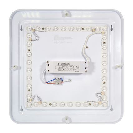 Fulgur 24313 - LED-kattovalaisin PAVLA STARS LED/36W/230V 2700K