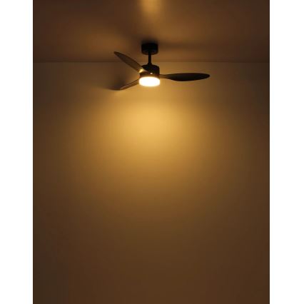 Globo - LED himmennettävä kattotuuletin LED/20W/230V 2700-6500K + kaukosäädin