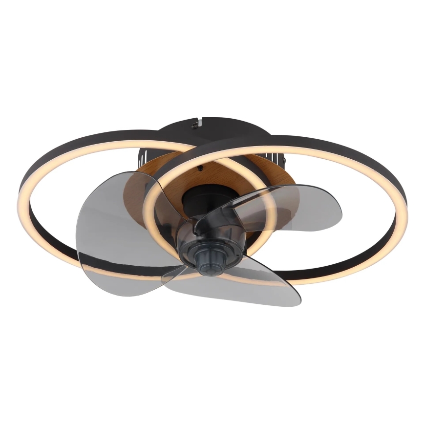 Globo - LED himmennettävä kattotuuletin LED/24W/230V 2700-6500K + kaukosäädin