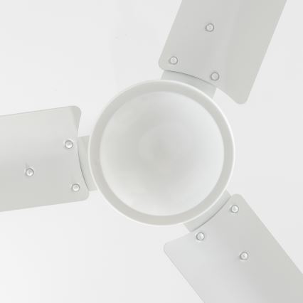 Globo 03806 - Kattoilmaisin FERRO