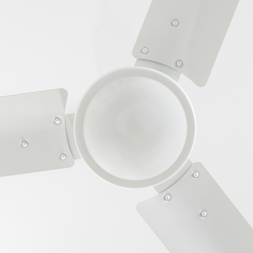 Globo 03806 - Kattoilmaisin FERRO