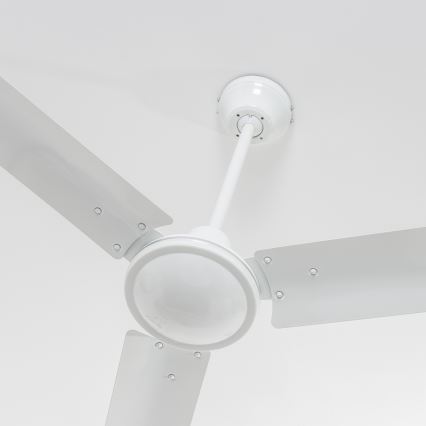 Globo 03806 - Kattoilmaisin FERRO