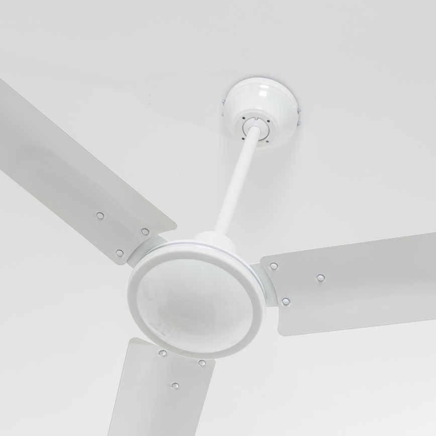 Globo 03806 - Kattoilmaisin FERRO