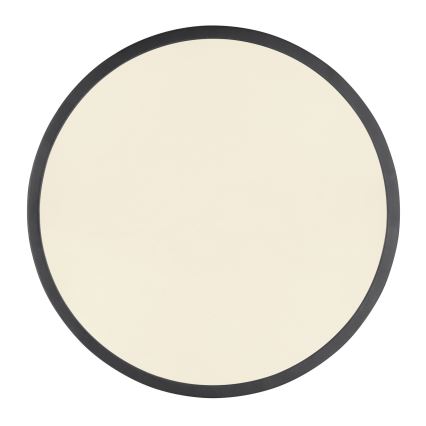 Globo - LED himmennettävä kattovalaisin LED/22W/230V