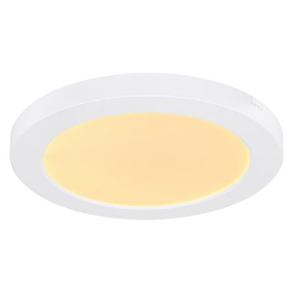 Globo - LED-kattovalaisin LED/18W/230V 3000/4000/6500K valkoinen