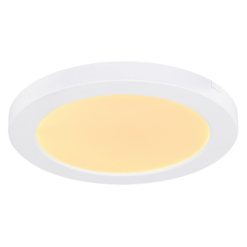 Globo - LED-kattovalaisin LED/18W/230V 3000/4000/6500K valkoinen