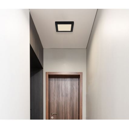 Globo - LED Kattovalaisin LED/12W/230V 3000/4000/6500K musta