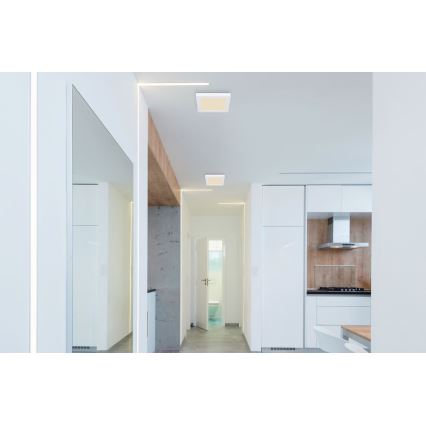 Globo - LED Kattovalo LED/12W/230V 3000/4000/6500K valkoinen