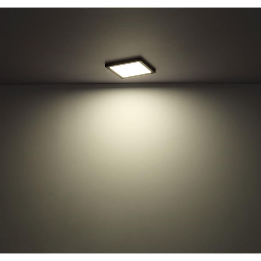 Globo - LED Kattovalo LED/12W/230V 3000/4000/6500K valkoinen