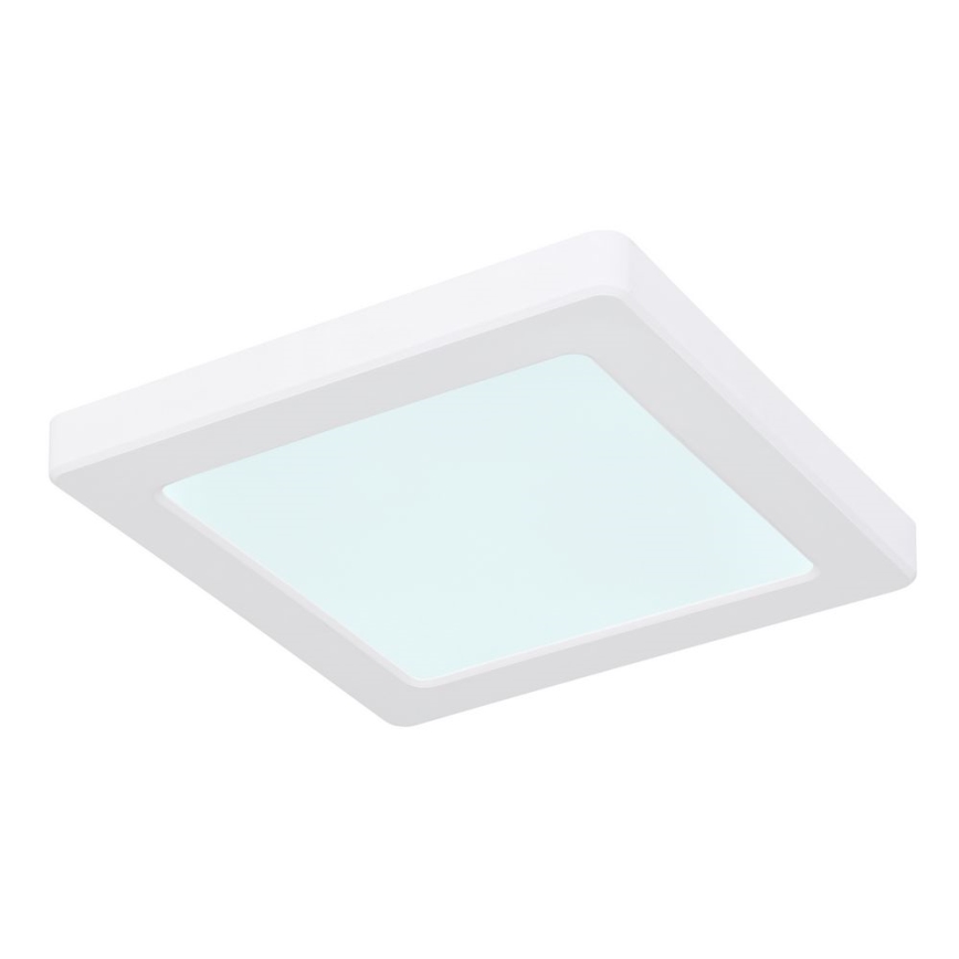 Globo - LED Kattovalo LED/12W/230V 3000/4000/6500K valkoinen