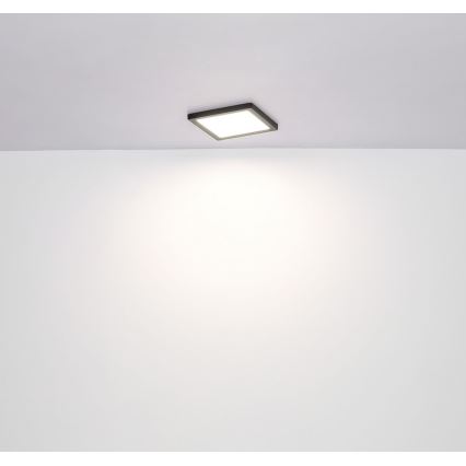 Globo - LED Kattovalo LED/18W/230V 3000/4000/6500K musta